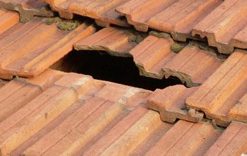 roof repair Hampton Green