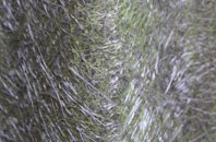 Hampton Green fibreglass roof work